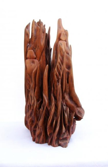 Scultura intitolato "Mountain" da Suresh Pant, Opera d'arte originale, Legno