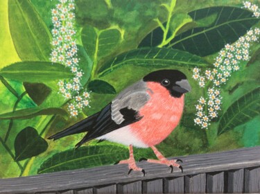 Painting titled "Bullfinch and Laure…" by Susan J Green, Original Artwork, Acrylic Mounted on Wood Stretcher frame