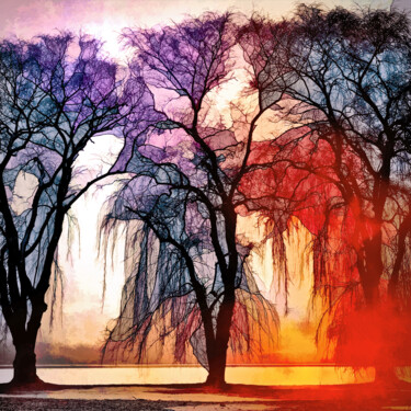 Digital Arts titled "A Song of Trees" by Susan Maxwell Schmidt, Original Artwork, 2D Digital Work