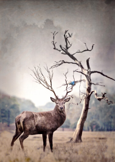 Digital Arts titled "The Stag and the Bl…" by Susan Maxwell Schmidt, Original Artwork, Digital Painting