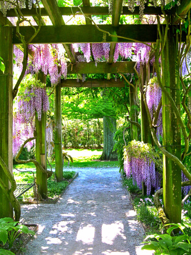 Photography titled "Entranceway to Fant…" by Susan Maxwell Schmidt, Original Artwork, Digital Photography