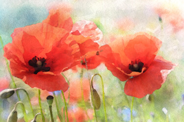 Digitale Kunst getiteld "Summer Poppies" door Susan Maxwell Schmidt, Origineel Kunstwerk, Digitaal Schilderwerk
