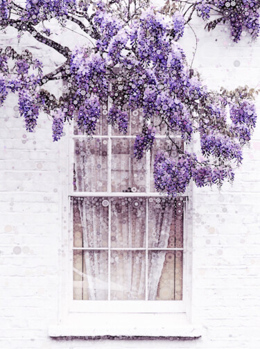 Цифровое искусство под названием "Wisteria Window" - Susan Maxwell Schmidt, Подлинное произведение искусства, Фотомонтаж