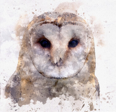 Arte digitale intitolato "Barn Owl in Waterco…" da Susan Maxwell Schmidt, Opera d'arte originale, Pittura digitale