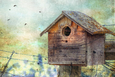 Fotografia intitulada "Summer Cottage in t…" por Susan Maxwell Schmidt, Obras de arte originais, Fotografia Manipulada