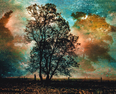 Arts numériques intitulée "The Veil of Daybreak" par Susan Maxwell Schmidt, Œuvre d'art originale, Photo montage