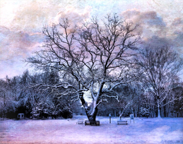 Fotografie getiteld "The Colors of Snow" door Susan Maxwell Schmidt, Origineel Kunstwerk, Gemanipuleerde fotografie