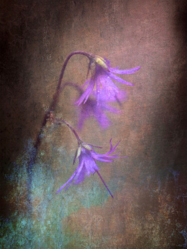 Photography titled "Little Purple Wildf…" by Susan Maxwell Schmidt, Original Artwork, Manipulated Photography
