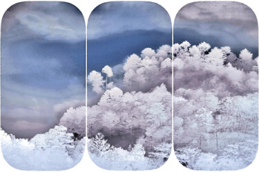 Grafika cyfrowa / sztuka generowana cyfrowo zatytułowany „Dreams Among Trees” autorstwa Susan Maxwell Schmidt, Oryginalna pr…