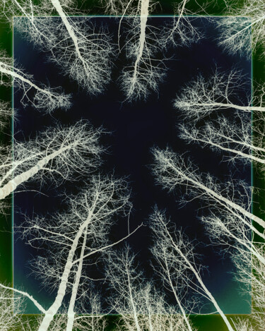 Photography titled "Midwinter Midnight…" by Susan Maxwell Schmidt, Original Artwork, Manipulated Photography