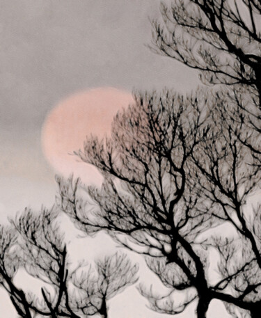 Digital Arts titled "Pink Moon" by Susan Maxwell Schmidt, Original Artwork, Digital Painting