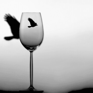 摄影 标题为“Wine Flight” 由Susan Maxwell Schmidt, 原创艺术品, 数码摄影