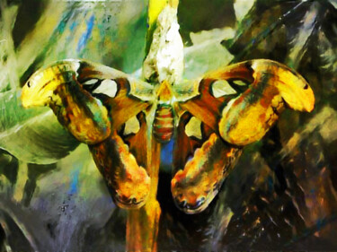 Digital Arts titled "Atlas Moth" by Susan Maxwell Schmidt, Original Artwork, Digital Painting