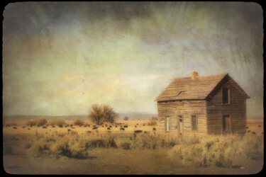 Fotografie mit dem Titel "Grazing Land" von Susan Maxwell Schmidt, Original-Kunstwerk, Manipulierte Fotografie
