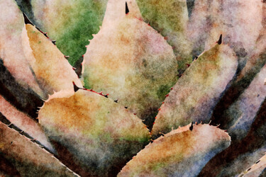Artes digitais intitulada "Agave Succulent" por Susan Maxwell Schmidt, Obras de arte originais, Pintura digital