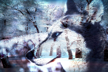 Fotografie getiteld "Sled Dog Dreams" door Susan Maxwell Schmidt, Origineel Kunstwerk, Digitale fotografie