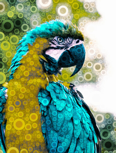 Digital Arts titled "Lovely Plumage" by Susan Maxwell Schmidt, Original Artwork, Digital Painting