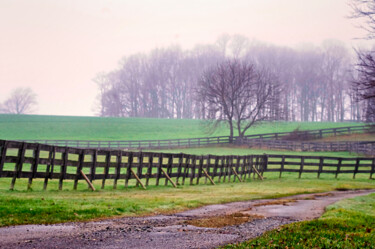 Fotografie mit dem Titel "Foggy Morning in Ch…" von Susan Maxwell Schmidt, Original-Kunstwerk, Digitale Fotografie