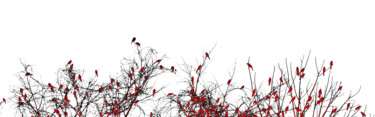Digital Arts με τίτλο "The Redbird Tree" από Susan Maxwell Schmidt, Αυθεντικά έργα τέχνης, Ψηφιακή ζωγραφική