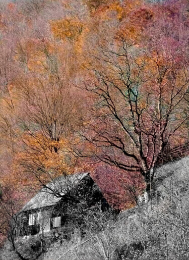 Photography titled "Cabin in the Woods" by Susan Maxwell Schmidt, Original Artwork, Manipulated Photography
