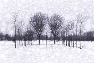 Photography titled "The Scent of Snow" by Susan Maxwell Schmidt, Original Artwork, Manipulated Photography
