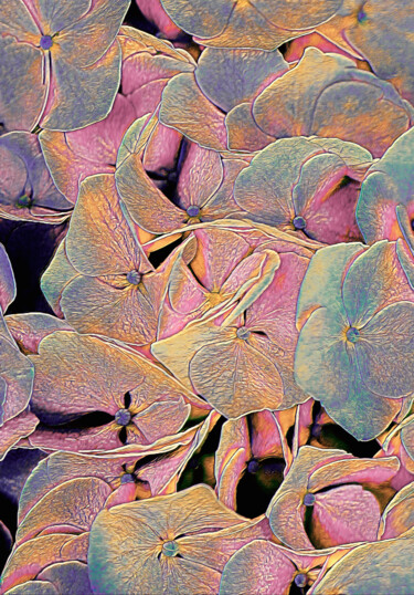Digitale Kunst mit dem Titel "Opal Hydrangea" von Susan Maxwell Schmidt, Original-Kunstwerk, Digitale Malerei