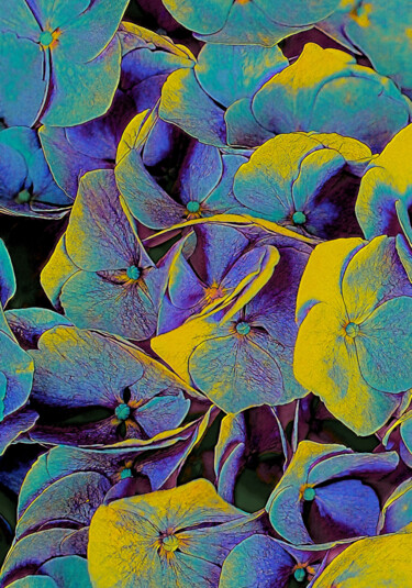 Цифровое искусство под названием "Electric Hydrangea" - Susan Maxwell Schmidt, Подлинное произведение искусства, Цифровая жи…