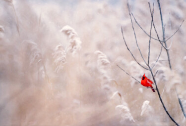 Digitale Kunst mit dem Titel "Winter's Keep" von Susan Maxwell Schmidt, Original-Kunstwerk, Digitale Malerei