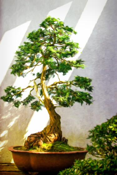 Digital Arts titled "Bonsai in the Garden" by Susan Maxwell Schmidt, Original Artwork, Digital Painting