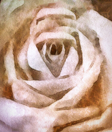 Digital Arts titled "Old Rose" by Susan Maxwell Schmidt, Original Artwork, Digital Painting