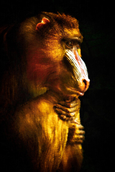 Arte digitale intitolato "Old World Mandrill" da Susan Maxwell Schmidt, Opera d'arte originale, Fotomontaggio