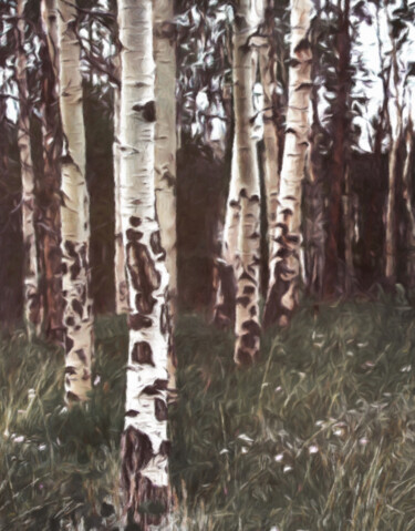 Arts numériques intitulée "White Birch" par Susan Maxwell Schmidt, Œuvre d'art originale, Peinture numérique