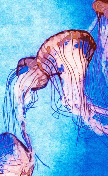 Arte digital titulada "Monterey Bay Jellyf…" por Susan Maxwell Schmidt, Obra de arte original, Pintura Digital