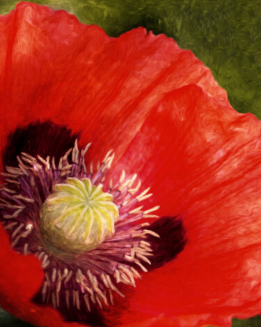 Arts numériques intitulée "Oriental Red Poppy" par Susan Maxwell Schmidt, Œuvre d'art originale, Peinture numérique