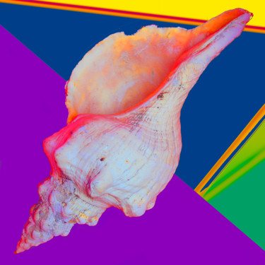 Digital Arts titled "shell-1l.jpg" by Susan Williams, Original Artwork, Photo Montage