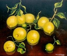 Pintura titulada "limones en rama" por Susana D Momo, Obra de arte original, Oleo
