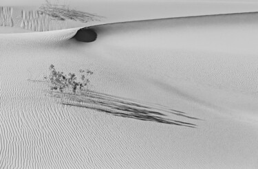 Photography titled "Dunes VI - Dunes Se…" by Susanna Patras, Original Artwork, Digital Photography