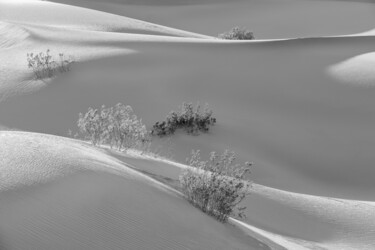 Photographie intitulée "Dunes IV - Dunes Se…" par Susanna Patras, Œuvre d'art originale, Photographie numérique