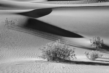 Photography titled "Dunes II - Dunes Se…" by Susanna Patras, Original Artwork, Digital Photography