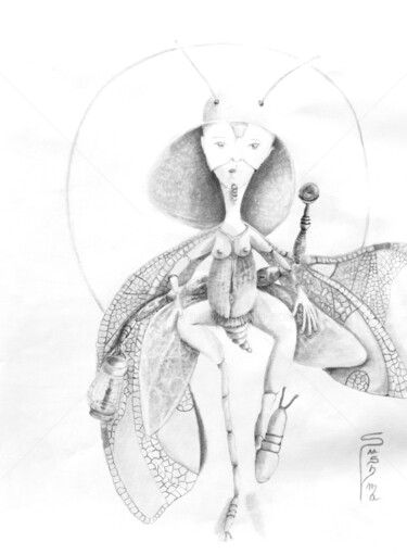 Drawing titled "Seti Teribi" by Sushma Legendre Mcintosh, Original Artwork, Pencil