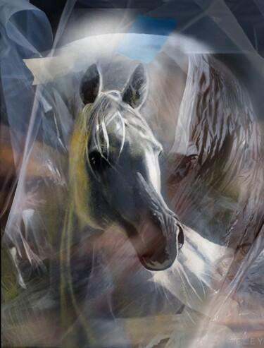 Картина под названием "caballo" - Suso C. Ben, Подлинное произведение искусства, Масло Установлен на Деревянная рама для нос…