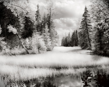 Old river Photographie intitulée "Old river" par Romeo Koitmäe, Œuvre d'art originale, Photographie argentique