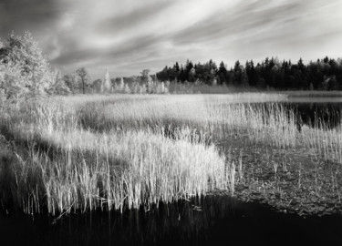 Bends Photographie intitulée "Bends" par Romeo Koitmäe, Œuvre d'art originale, Photographie argentique