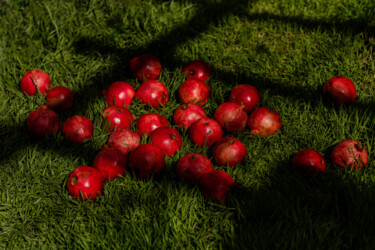 Photography titled "Pomegranate on grass" by Suvorova Xenia, Original Artwork, Digital Photography