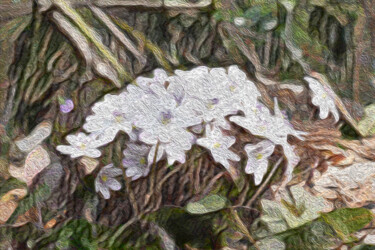 Arte digitale intitolato "Omisumisou blooms i…" da Svalvald Photo, Opera d'arte originale, Lavoro digitale 2D