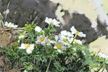 Arts numériques intitulée "Kitadakesou blooms…" par Svalvald Photo, Œuvre d'art originale, Peinture numérique