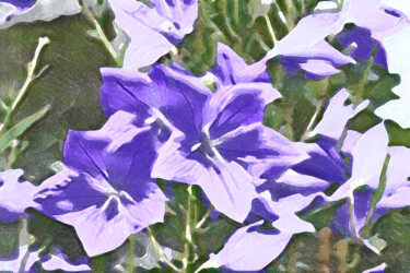 Digital Arts με τίτλο "Bellflowers blooms…" από Svalvald Photo, Αυθεντικά έργα τέχνης, Ψηφιακή ζωγραφική