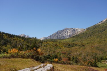 Fotografia zatytułowany „Autumn leaves at Ts…” autorstwa Svalvald Photo, Oryginalna praca, Fotografia cyfrowa