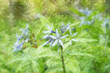 数字艺术 标题为“Chojisou blooms in…” 由Svalvald Photo, 原创艺术品, 数字油画