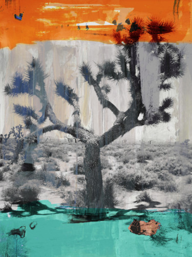 Obrazy i ryciny zatytułowany „JOSHUA TREE II by S…” autorstwa Sven Pfrommer, Oryginalna praca, Srebrny nadruk